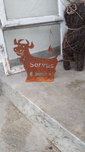 Deko Spaß Kuh mit der Schrift Servus ein wahrer Blickfang 25x25 cm